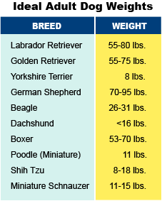 Dog Body Weight Chart